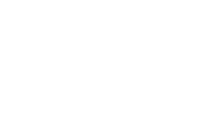 Swarovski